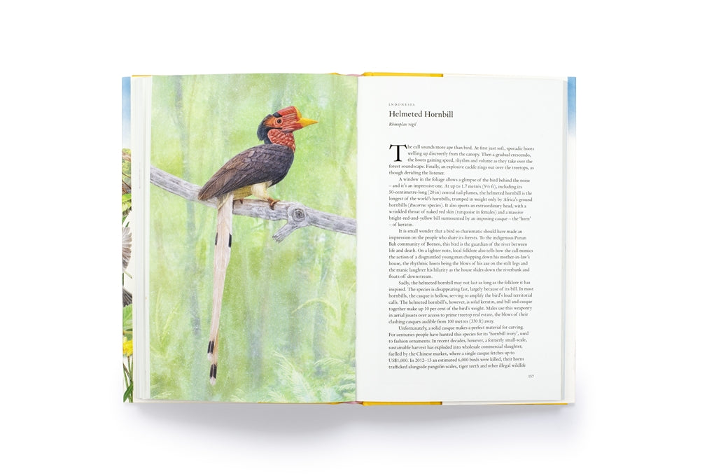 Around the World in 80 Birds by Mike Unwin, Ryuto Miyake