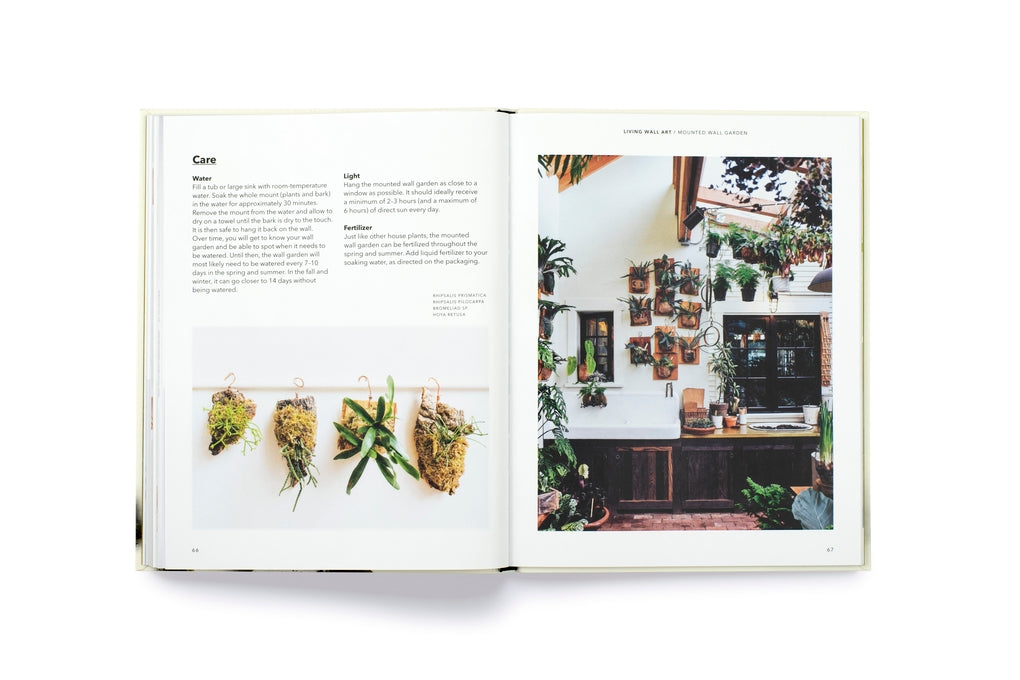 How to plant a room by Morgan Doane, Erin Harding