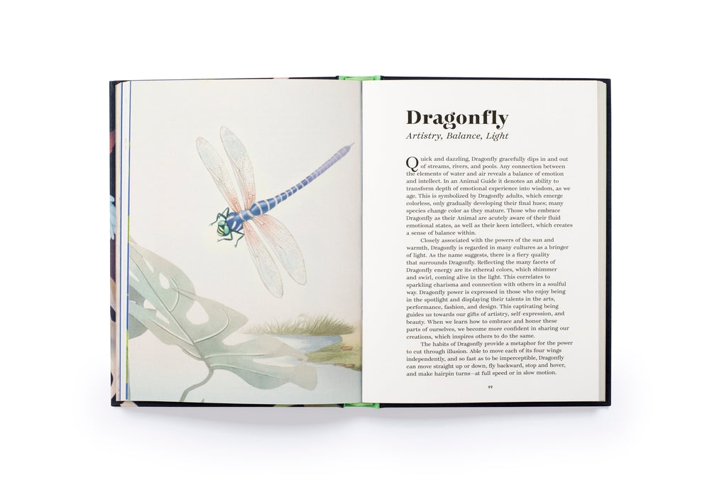 Find Your Animal by Dina Saalisi