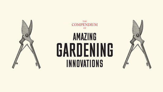 Historical Innovations That Shape Our Gardens