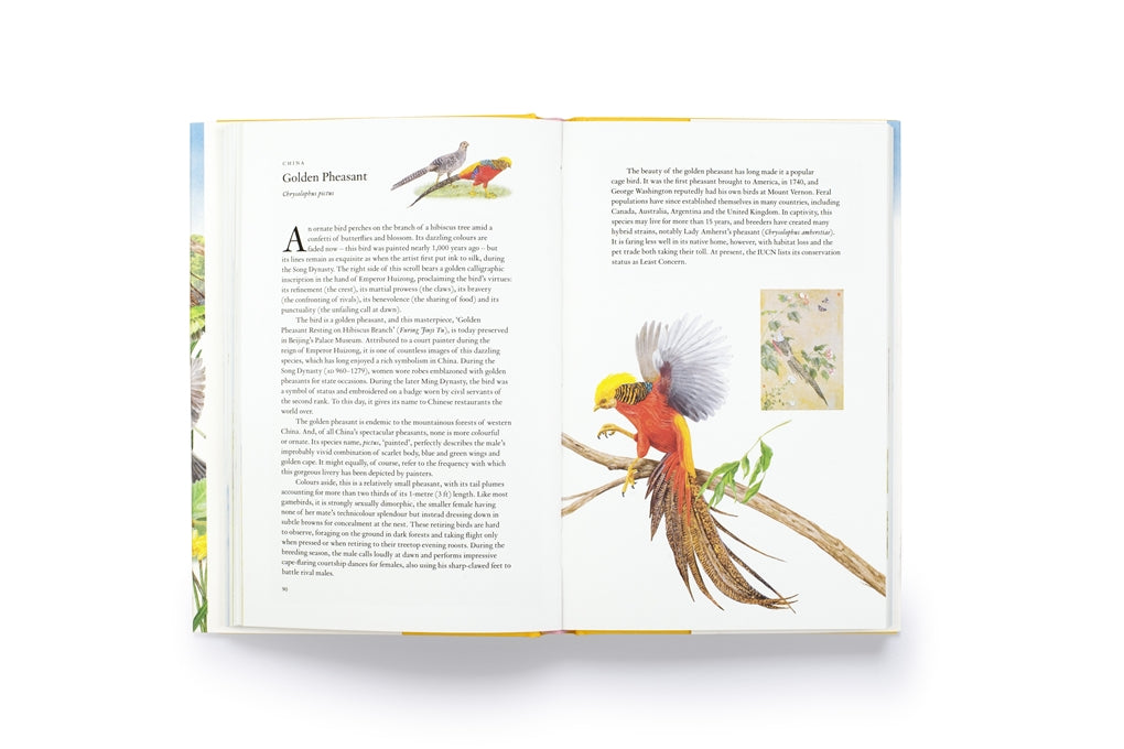 Around the World in 80 Birds by Mike Unwin, Ryuto Miyake