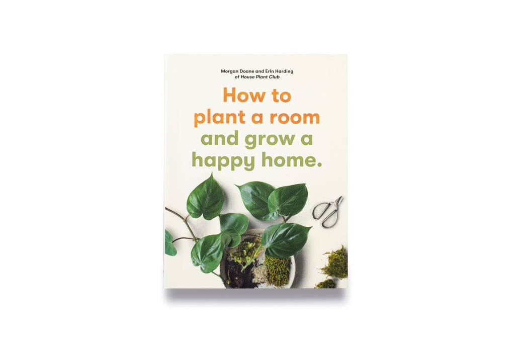 How to plant a room by Morgan Doane, Erin Harding