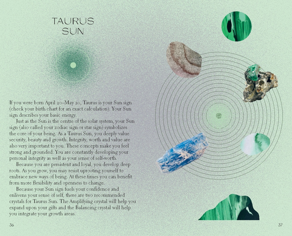 Taurus by Sandy Sitron