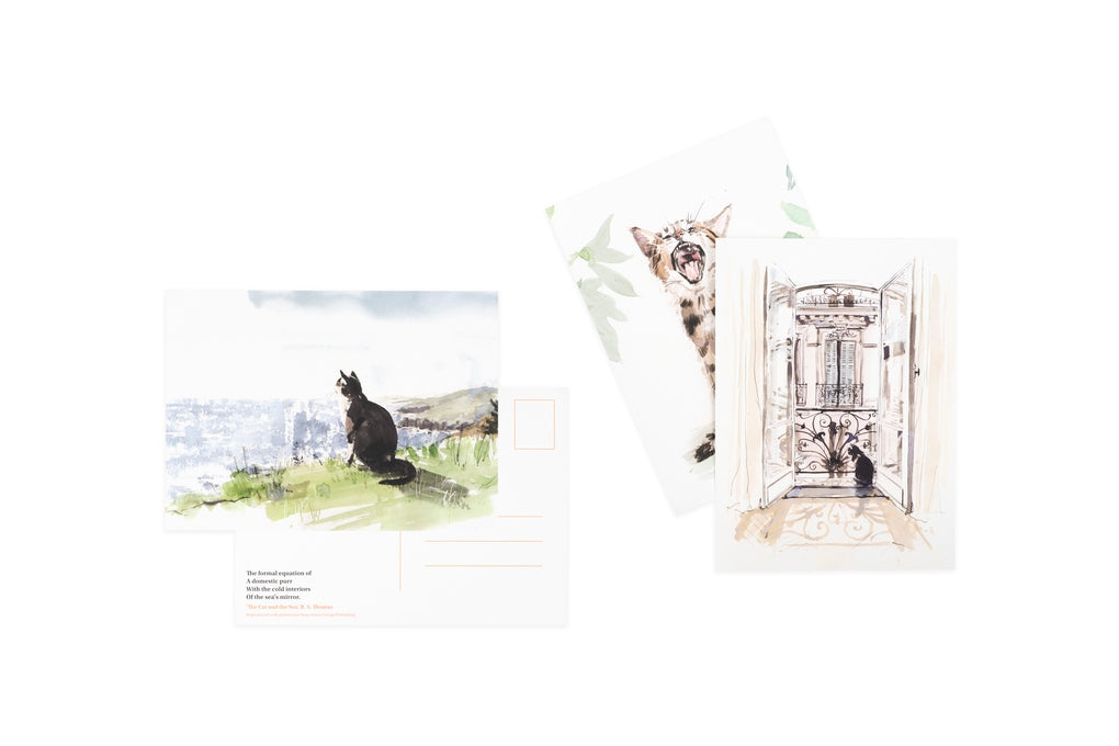 For the Love of Cats: 25 Postcards by Ana Sampson