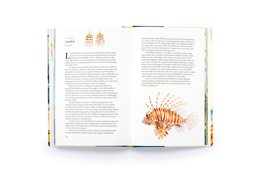 Around the Ocean in 80 Fish and other Sea Life by Helen Scales, Marcel George