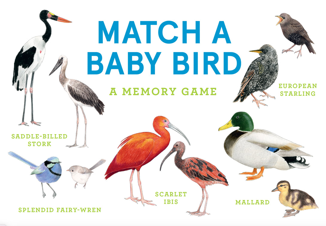 Match a Baby Bird by Christine Berrie, Mike Unwin