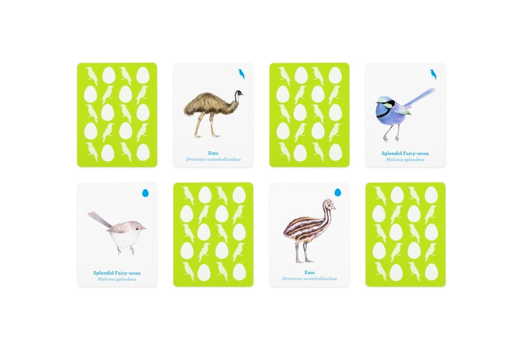 Wildlife: birds and birdwatching: general interest