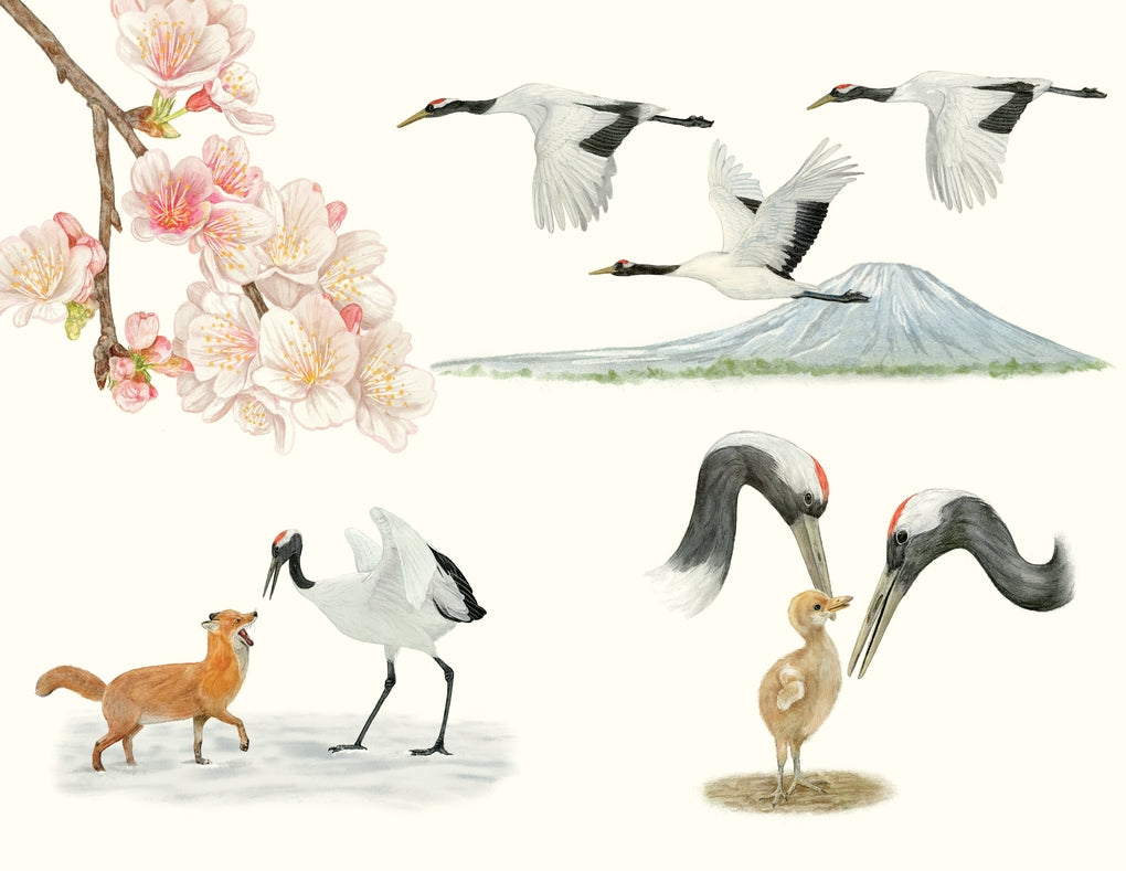 Around the World in 80 Birds by Mike Unwin, Ryuto Miyake