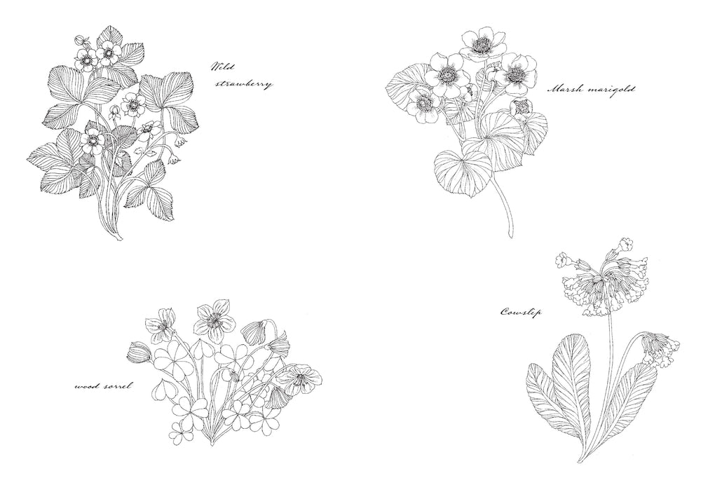 Floribunda Year by Leila Duly