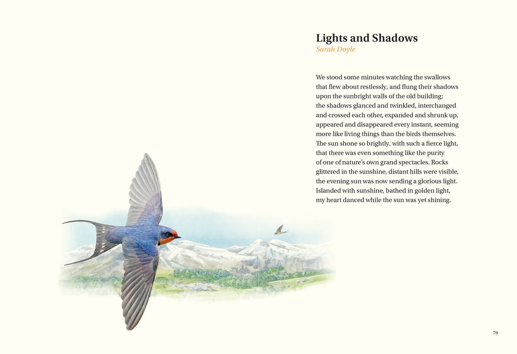 The Book of Bird Poems by Ana Sampson, Ryuto Miyake