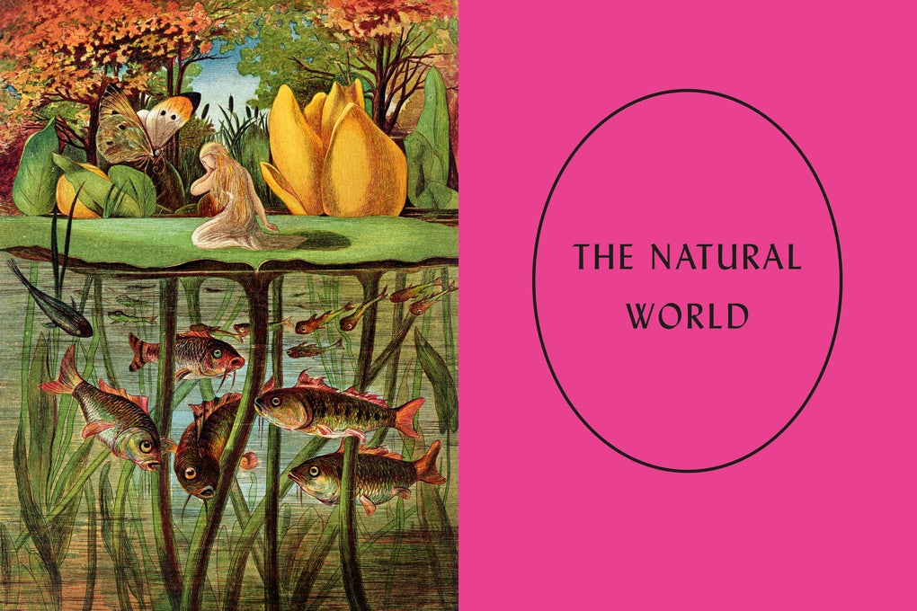 The Art of Fairy Tales by Joanna Ebenstein