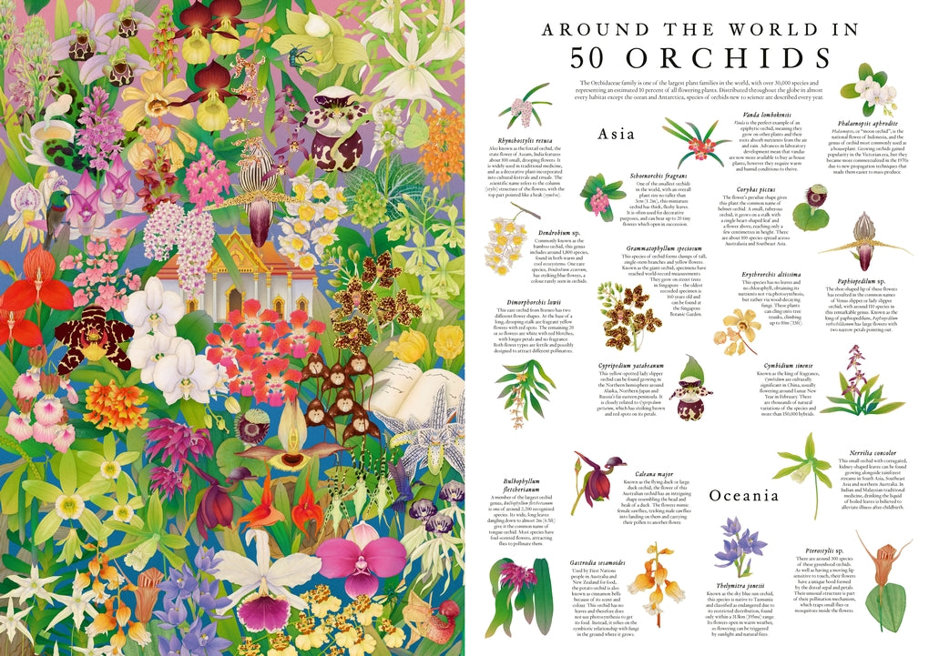 Around the World in 50 Orchids | Laurence King Publishing US