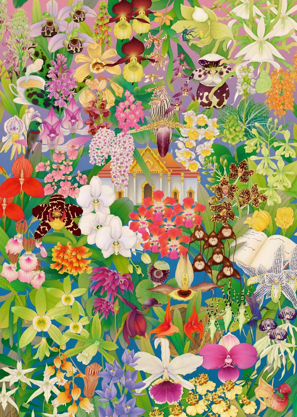Around the World in 50 Orchids | Laurence King Publishing US