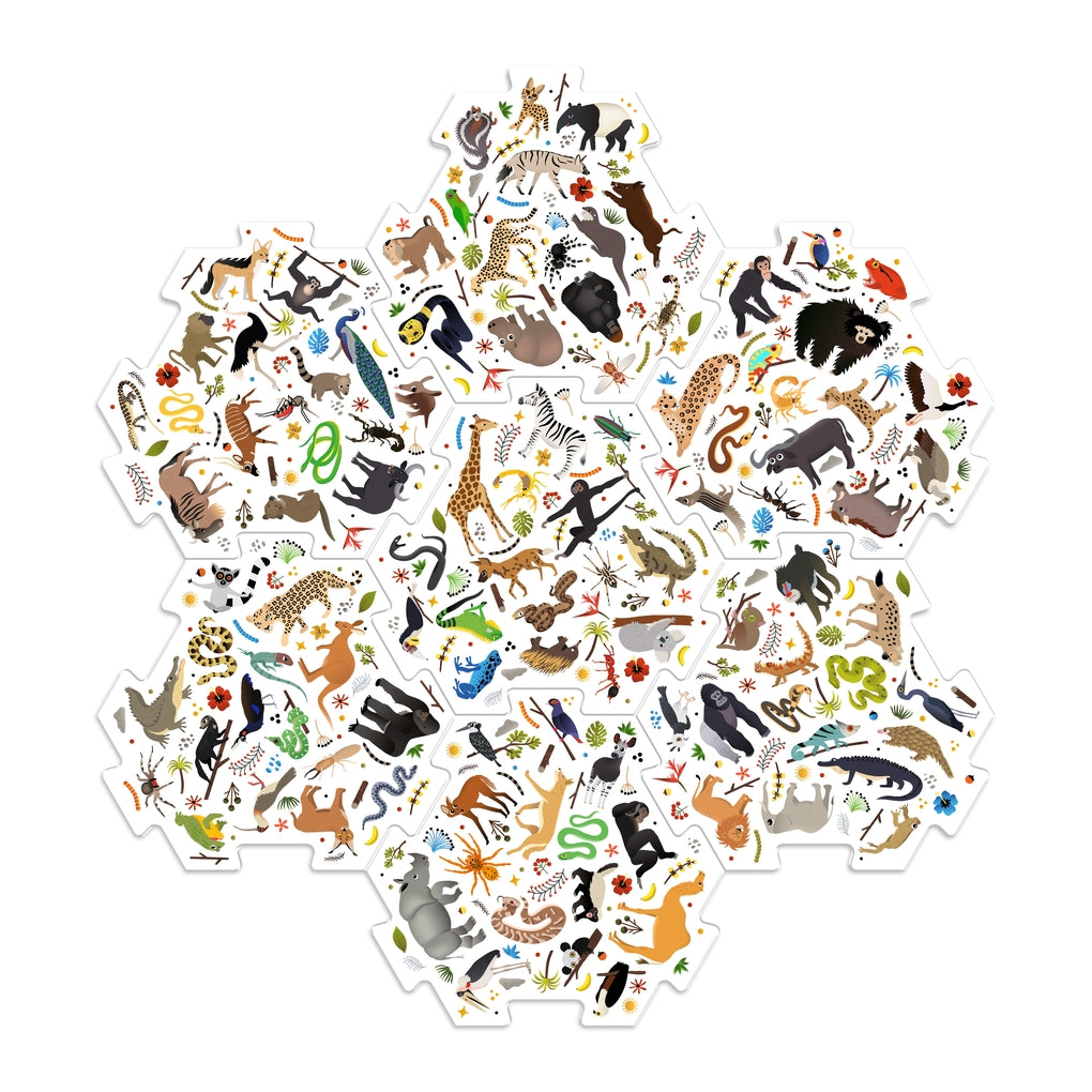 I Saw It First: Safari (travel edition) by Caroline Selmes, Caroline Selmes