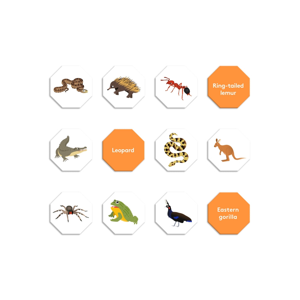 I Saw It First: Safari (travel edition) by Caroline Selmes, Caroline Selmes