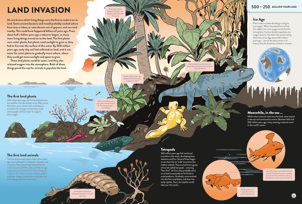 The History of Everything in 32 Pages by Anna Claybourne, Jan Van Der Veken