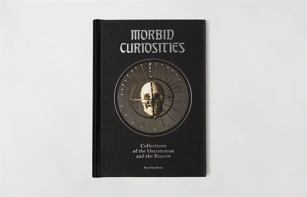 Morbid Curiosities by Paul Gambino