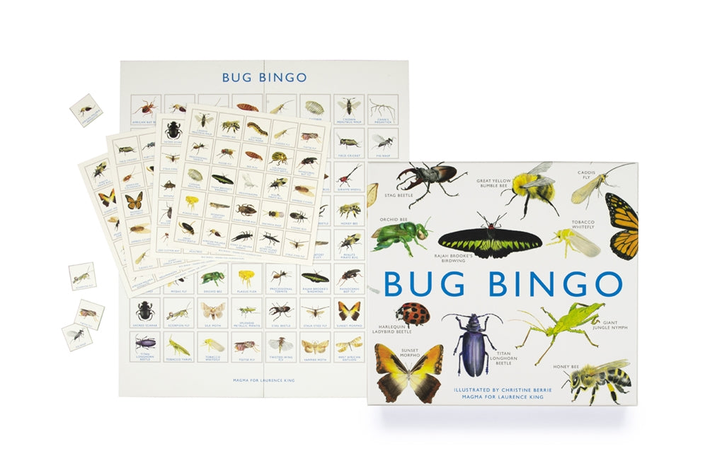 Bug Bingo by Laurence King Publishing