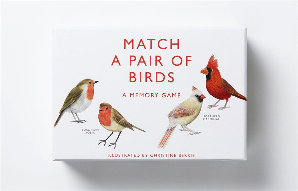 Match a Pair of Birds by Christine Berrie, Magma Publishing Ltd