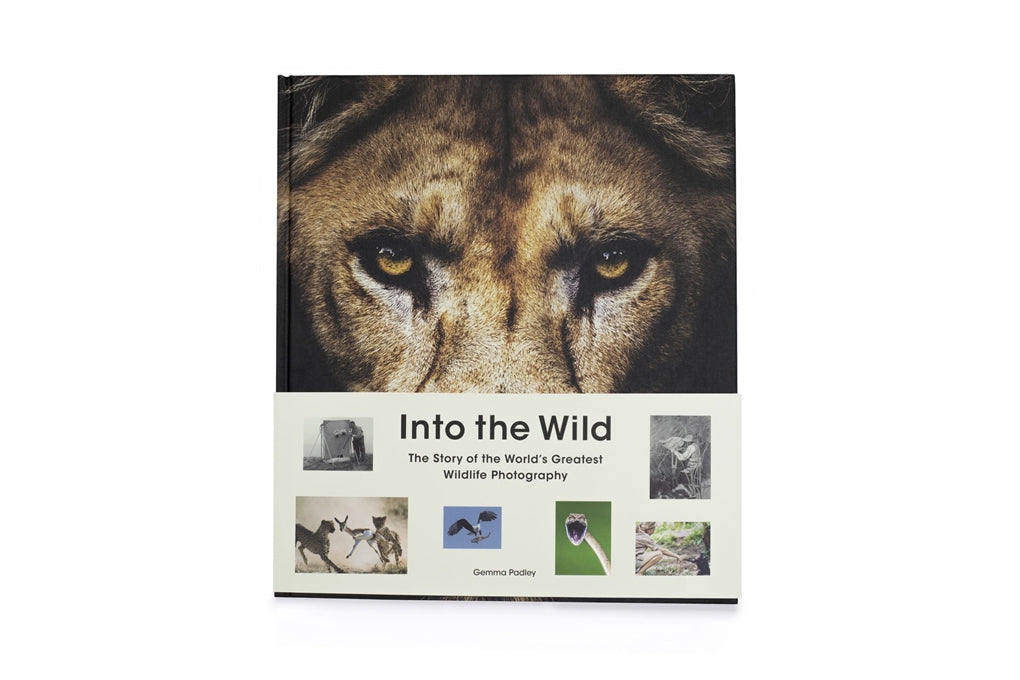 Into the Wild by Gemma Padley