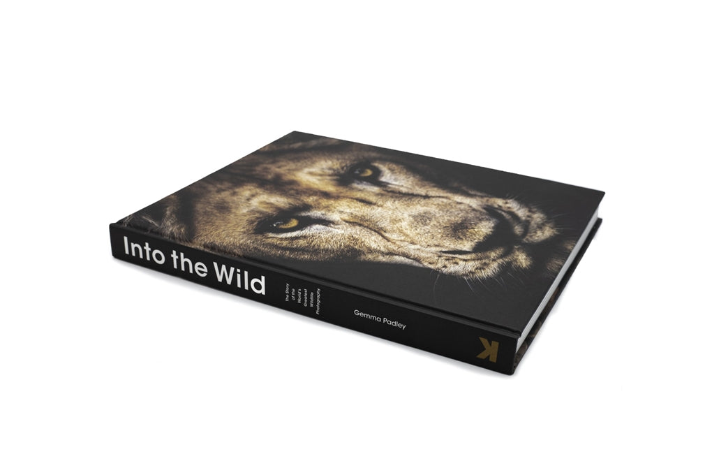 Into the Wild by Gemma Padley