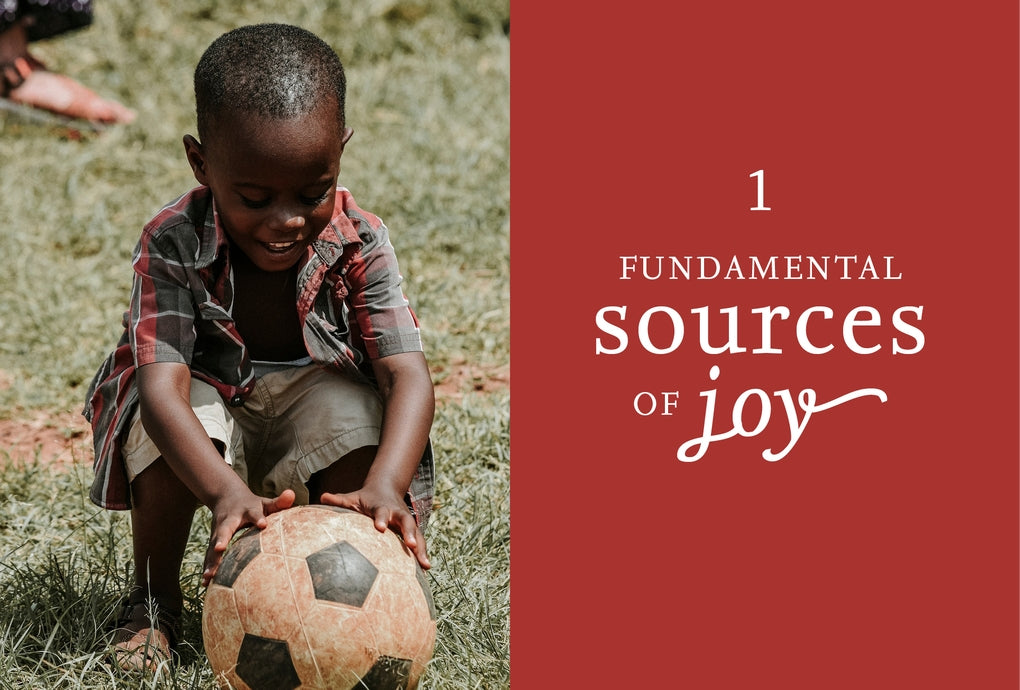 Emotions by Design by Pieter Desmet, Steven Fokkinga