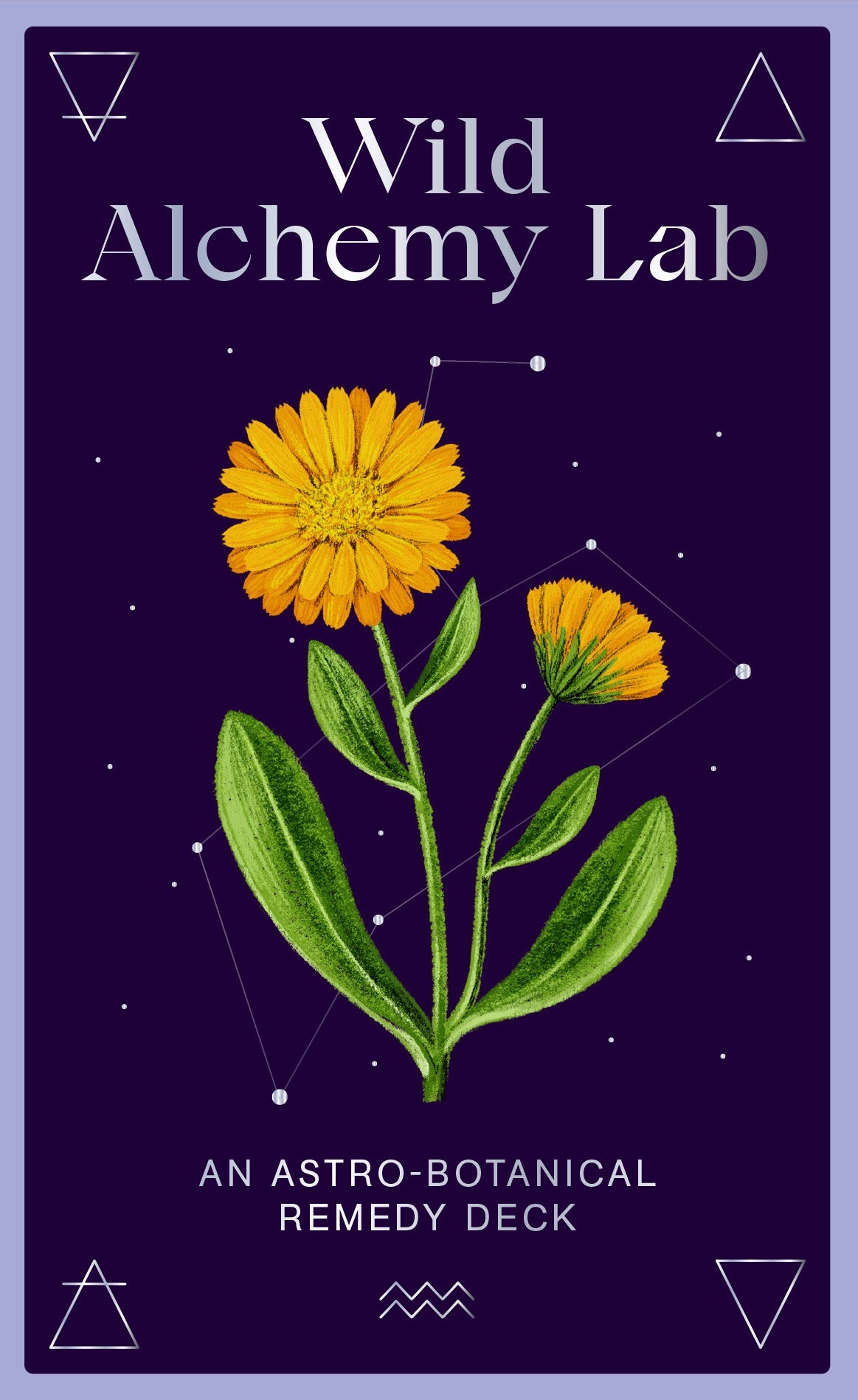 Traditional medicine and herbal remedies