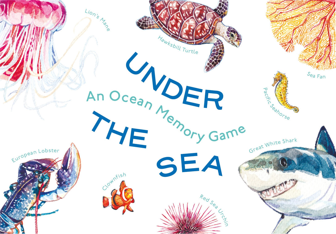 Under the Sea by Mike Unwin, Holly Exley