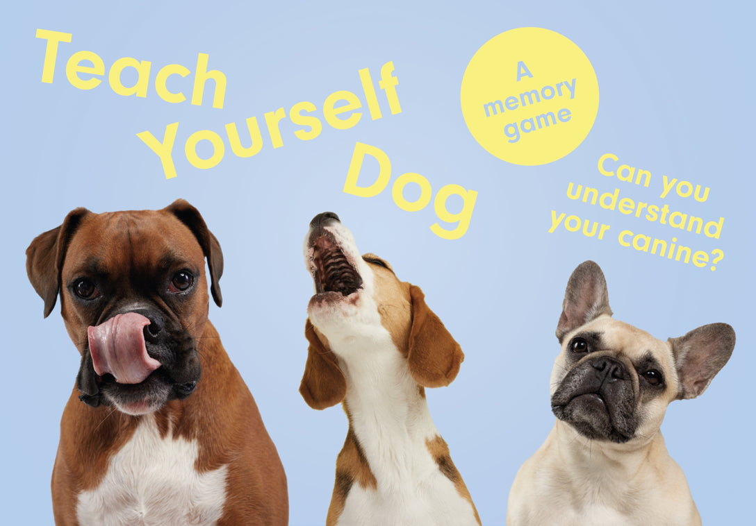 Teach Yourself Dog by Gerrard Gethings, Louise Glazebrook