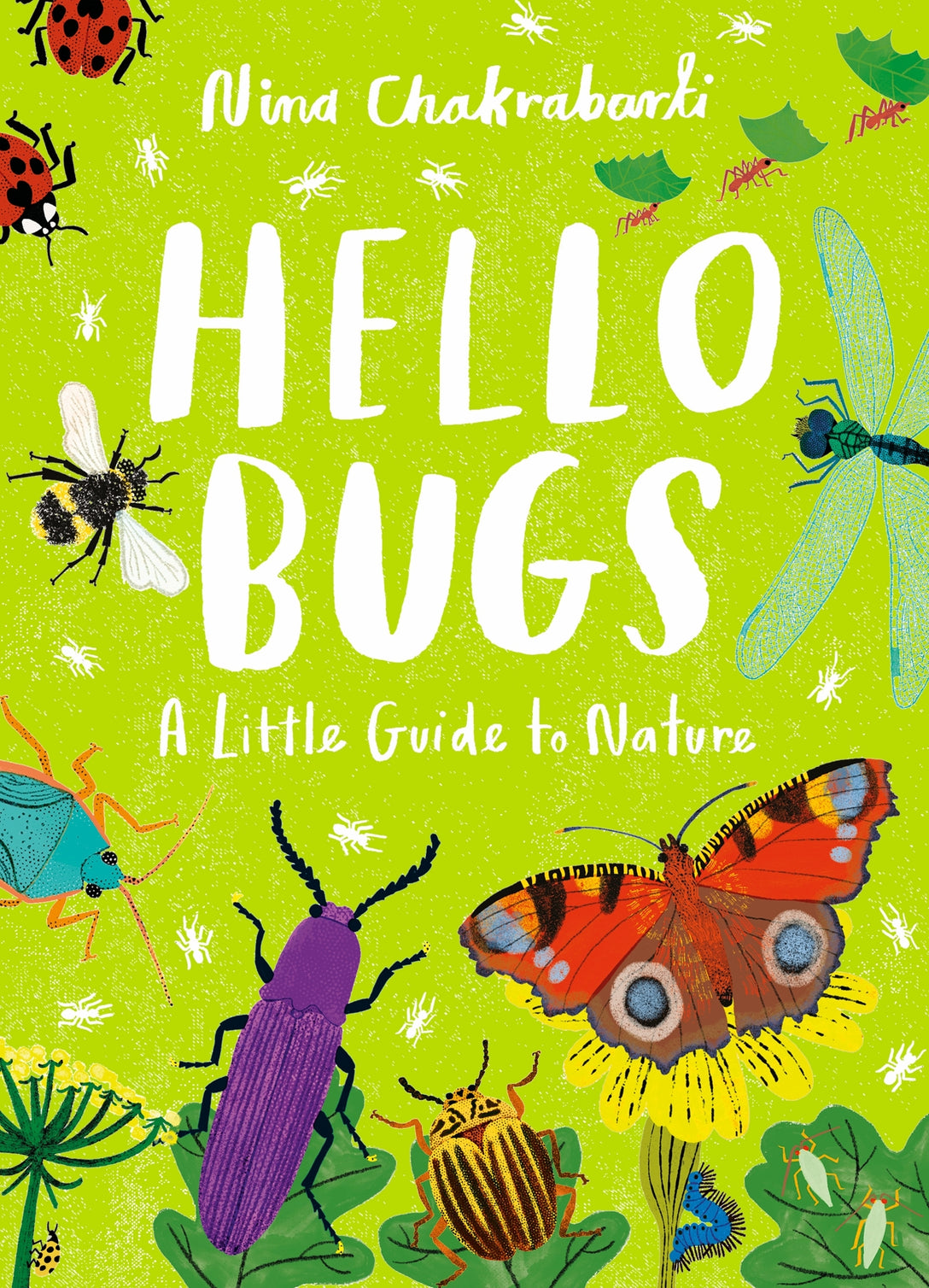 Little Guides to Nature: Hello Bugs by Nina Chakrabarti