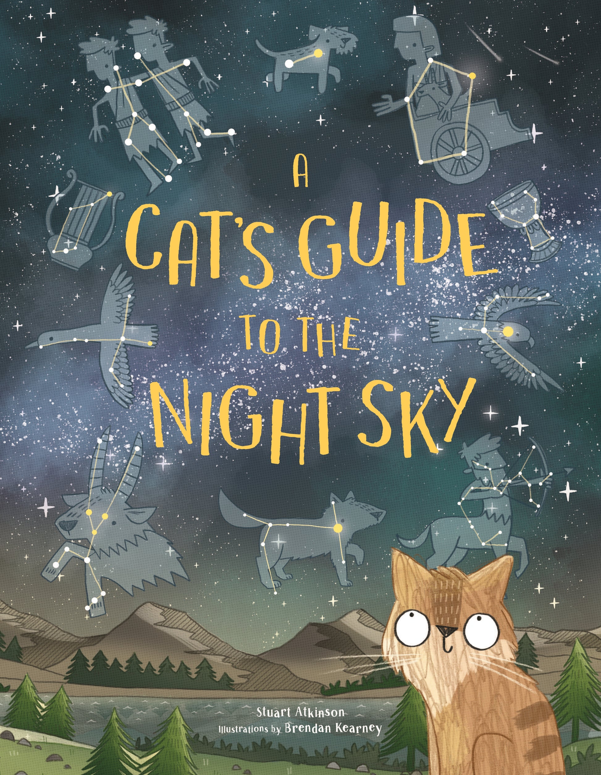 A Cat's Guide to the Night Sky by Brendan Kearney, Stuart Atkinson