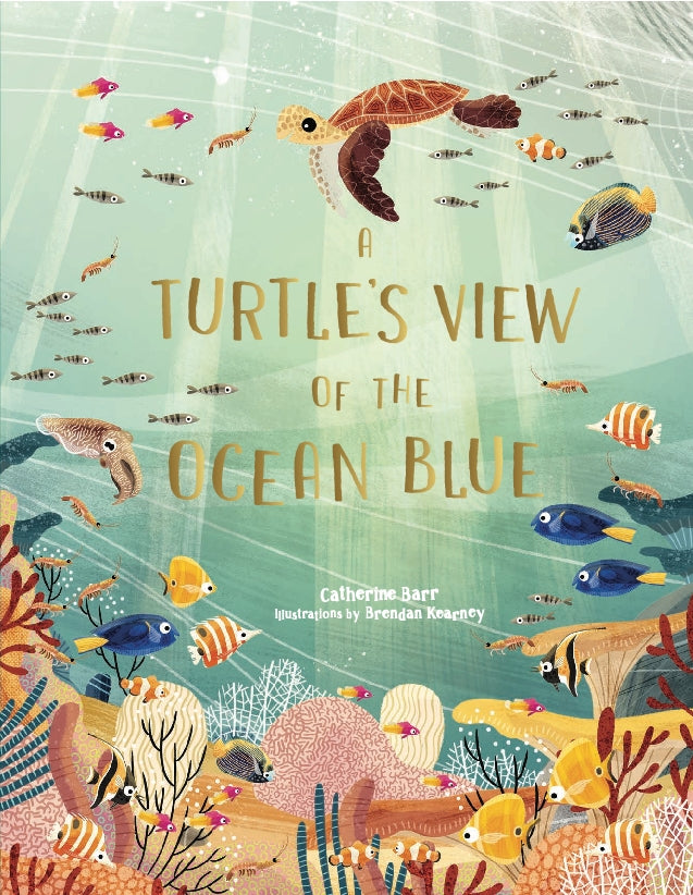 A Turtle's View of the Ocean Blue by Catherine Barr, Brendan Kearney