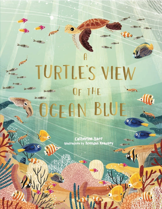 A Turtle's View of the Ocean Blue by Brendan Kearney, Catherine Barr